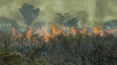 Požár amazonského deštného pralesa