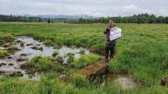 Správa Národního parku Šumava kontroluje obnovené mokřady