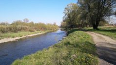 Řeka Olše
