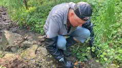 Vědci z Masarykovy univerzity zkoumají vysychavé toky mnoho let