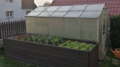 Rodina má také svůj skleník a zeleninový záhon