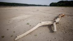 Hladina největší italské řeky Pád na severu země je nejníž za posledních 70 let