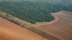 Letecký pohled na amazonský deštný prales.