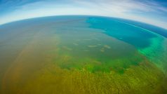 Špinavá voda se ze severu Austrálie dostala i k částem Velkého bariérového útesu, což znervózňuje vědce.