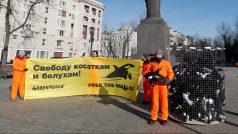 Protest ochránců přírody z Greenpeace proti ruským vězením pro velryby v Moskvě (únor 2019)