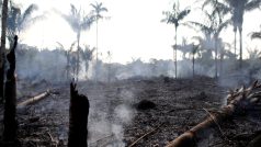 Amazonský prales mizí rekordním tempem - skoro dvakrát rychleji než loni. Podle brazilské agentury pro vesmírný výzkum to dokazují satelitní snímky