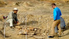 Fosílie nalezli vědci v kolumbijské poušti Tatacoa a v okolí města Urumaco na severu Venezuely