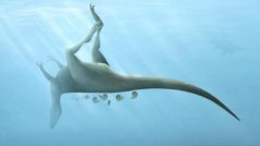 Dinosaurus, kterého vědci z univerzity v jihoanglickém Southamptonu pojmenovali Vectaerovenator inopinatus, podle představy malíře
