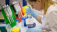 Výzkumné práce na ruské vakcíně proti koronaviru v Národním výzkumném středisku Nikolaje Gamaleji v Moskvě.