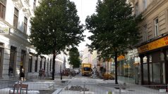 Přestavba ulice Neubaugasse - instalace zeleně