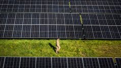 Britský voják na první farmě solárních panelů armády Spojeného království