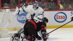Petr Mrázek v brance Toronto Maple Leafs