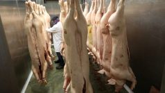 Britští chovatelé prasat bijí na poplach kvůli nedostatku řezníků a jatečních dělníků, kvůli kterému se zpomalila porážka (ilustrační foto)