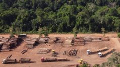 Hromady legálně pokáceného dřeva v amazonském deštném pralese
