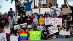 6. března vypukly na Floridě protesty. Několik desítek lidí pochodovalo floridským městem Fort Myers a demonstrovalo proti podepsání tzv. Don´t Say Gay zákona.