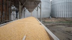 Česko dovoz potravin z Ukrajiny nezakáže