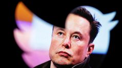 Elona Muska má v čele Twitteru nahradit zkušená manažerka z televize