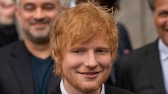 Dědicové Gayeova spoluautora tvrdili, že jim Sheeran, Warner Music Group a Sony Music Publishing dluží peníze za porušení autorských práv