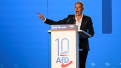 Alice Weidelová, spolupředsedkyně Alternativy pro Německo, hovoří na pódiu v den volebního shromáždění v Magdeburgu