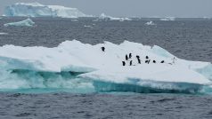 Vědci na Antarktidě zkoumají dopad klimatické krize na zdejší kolonie tučňáků