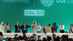 Radost po přijetí dohody na klimatické konferenci COP28