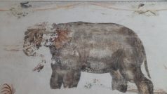 Namalovaný slon na zámku v Bělé pod Bezdězem