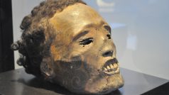 Jedna z mumifikovaných hlav maorských mužů v novozélandském muzeu