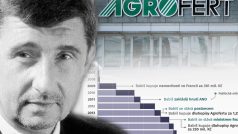 Premiér a šéf hnutí ANO Andrej Babiš ovládnul koncern Agrofert v době, kdy mohl mít na kontě maximálně zhruba 29 milionů korun