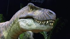 Portál dziennik.pl připomíná, že dinosauři vyhynuli asi před 66 miliony let. První lidé se v Africe objevili zřejmě teprve před 200 000 lety.