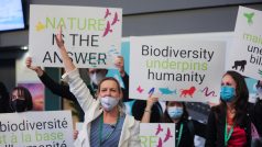Členové Světového fondu na ochranu přírody protestují během COP15