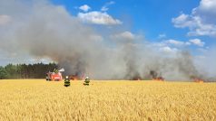 Na požár pole u Dobřan byl vyhlášen zvláštní stupeň požárního poplachu