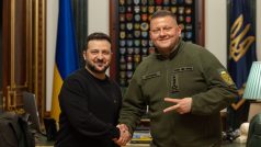 Šéf generálního štábu ukrajinské armády Zalužnyj odstupuje z funkce