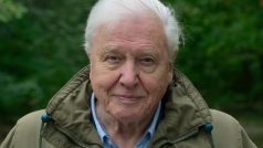 David Attenborough v dokumentárním snímku Život na naší planetě