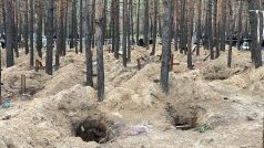 Celý les je plný hrobů, napočítali jich 445. Plus jeden hromadný.