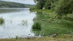 V roce 2019 stát v restituci přišel o více než čtyřicetihektarový rybník v Jesenici u Rakovníka, který potřebuje k řešení sucha na Rakovnicku. Bude ho muset vykoupit zase zpět částku, která se může přehoupnout přes 60 milionů korun, zjistil Radiožurnál