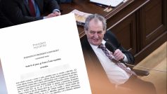 Prezident Miloš Zeman udělil milost Miloši Balákovi na základě ústní žádosti