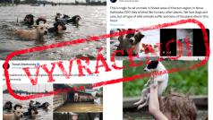 Na sociálních sítích se šíří staré fotografie, které se vydávají za záznamy následků protržení Kachovské přehrady