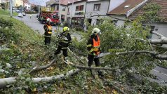 V brněnské ulici Hlavní v Komíně vichřice ulomila část stromu, který spadl přes silnici a strhl trolejbusovou trolej.