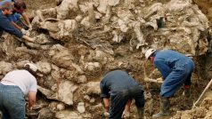 Celkový počet obětí srebrenického masakru, který Mezinárodní soudní dvůr OSN označil za genocidu, se dodnes jen odhaduje, nejčastěji se hovoří o 8000 mrtvých