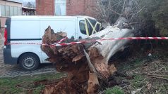 V souvislosti s větrným počasí zasahovali hasiči na náměstí T. G. Masaryka ve Zlíně, kde vzrostlý strom spadl na zaparkovanou dodávku.