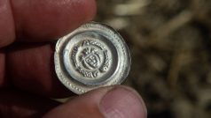 Archeologové našli na Písecku stovky mincí ze 13. století. Na mincích je hlava panovníka a ryby v kruhu kolem.