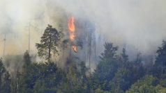 Požár lesa v Národním parku České Švýcarsko u Hřenska