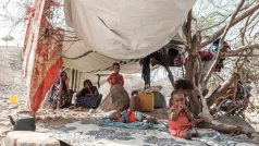 Válka v Etiopii vyhnala ze svých domovů miliony lidí, některé rodiny přebývaly v podomácku vyrobených přístřešcích