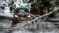 Muž odstraňuje větev zlomenou tíhou sněhu na cestě poblíž Bělé na Prachaticku