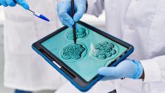 Odborníci zkoumají na tabletu snímky embryí