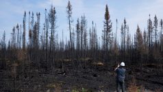Krajina po lesním požáru v kanadské provincii Québec