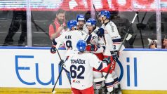 Čeští hokejisté slaví gól