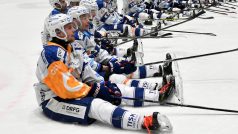 Hokejisté Komety Brno slaví výhru v Litvínově