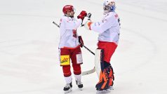 Hokejisté Hradce Králové porazili v utkání 43. kola extraligy České Budějovice 4:0 a po měsíci a jednom dni si připsali tříbodové vítězství