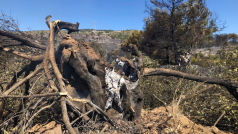 Oheň se rozšířil i na desítky metrů od obce Masari, dřevo ještě doutná